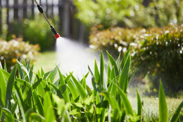 24/7 Emergency Ant Control experts in King George, VA