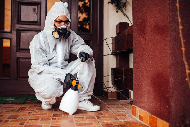 Reliable Ant Control contractor in King George, VA by Show Me Pest Control